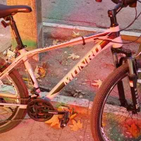 دوچرخه مونروتنه المیونم نو