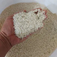 برنج محلی دم سیاه تابستون امسال قیمت مناسب|خوردنی و آشامیدنی|رشت, گلباغ نماز|دیوار