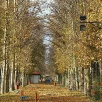 فروش آپارتمان ۱۰۵ متری ۲ خوابه