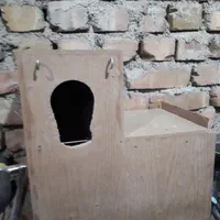 لانه پرنده شاه طوطی کاسکو ملنگو، مرغ عشق برزیلی|لوازم جانبی حیوانات|کرج, ملک‌آباد|دیوار