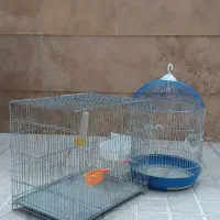 قفس پرنده دو عدد نو