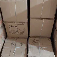 *سرو چهارگوش ۳۰سانت کارتن ۱۵ عددی  سیاهکل*|گل مصنوعی|رشت, لاکان|دیوار