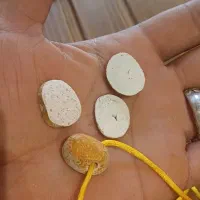 مهره نگین کسب کار|کلکسیون اشیاء عتیقه|بندرعباس, |دیوار