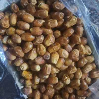 خرما زاهدی