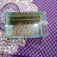 ماهی پیرانا کف خار  زبرا و آکواریوم|ماهی|تویسرکان, |دیوار