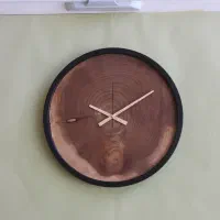 اسلب کالباسی چوب نارون