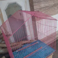 قفس|لوازم جانبی حیوانات|اهواز, آسیاباد|دیوار