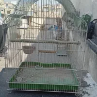 قفس پرنده