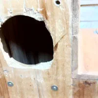 لانه طوطی‌سان سایز بزرگ|لوازم جانبی حیوانات|اصفهان, عسگریه|دیوار