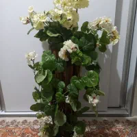 دیوارکوب