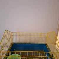 قفس|لوازم جانبی حیوانات|کرج, فاز ۱ مهرشهر|دیوار