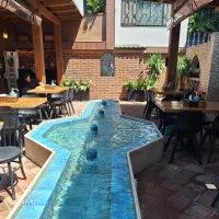 طراحی اجرا و نگهداری فضای سبز|خدمات باغبانی و درختکاری|نوشهر, |دیوار