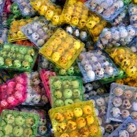 فروش عمده تخم بلدرچین