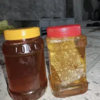 عسل طبیعی و کوهی|خوردنی و آشامیدنی|شیراز, شهرک فرزانگان|دیوار