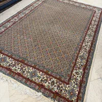 ۶ متری ماهی مود گل ابریشم