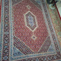 قالی|فرش|سنندج, |دیوار