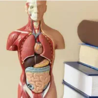 تدریس خصوصی زیست شناسی دبیرستان