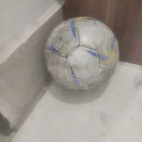 توپ مخصوص چمن