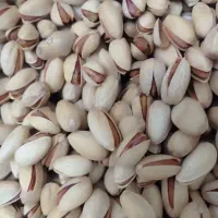 پسته تازه درجه ۱ امسالی