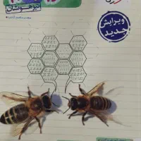 کتاب کمک آموزشی پایه هشتم و نهم و دهم|کتاب و مجله آموزشی|تربت‌حیدریه, شهرک ولیعصر|دیوار