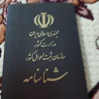 مدارک پیداشده