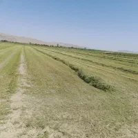 پرس یونجه گل