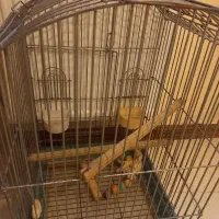 قفس پرنده بزرگ