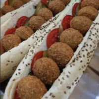 فر کار حرفه ای