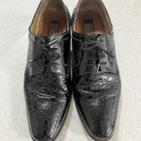 رسمی و مجلسی