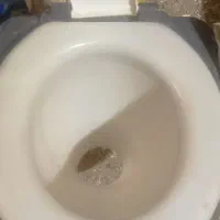 دستشویی فرنگی|لوازم سرویس بهداشتی|قم, علی آباد سعدگان|دیوار