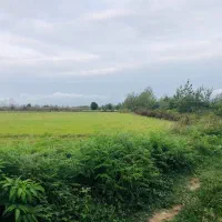 280-متردید-رویایی-داخل-بافت-نزدیک-گلسارجلو-رودخانه