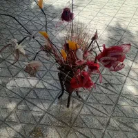 گل زینتی|گل مصنوعی|کوهدشت, |دیوار