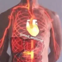 شکسته بندی حاج بابا