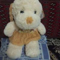 عروسک سالم