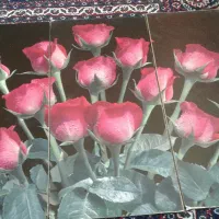 تابلو|تابلو، نقاشی، عکس|جوانرود, |دیوار