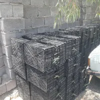سبد مخصوص پیاز غده