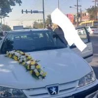 پارس‌۸۸فروشی