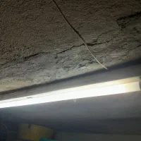 تعدادی مهتابی سالم بفروش میرسد