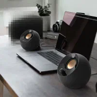 اسپیکراصل حرفه ای کرینیوpebble
