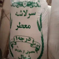 برنج محلی هاشمی علا محلی
