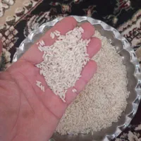 برنج خوش بو وخوش عطر لرستان (شول آباد)