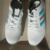 کفش سایز ۴۲