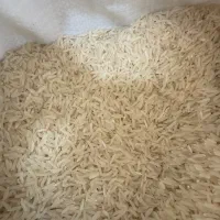 برنج فجر سوزنی پاییزه روغنی. فروش تناژ