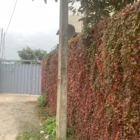 ویلا کاسبی  ساحلی متراژ بالا