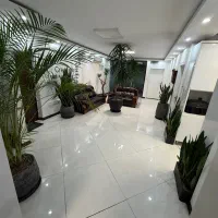 حسابدار امین و مدیر مالی ارشد شرکت واردات خانم