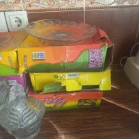 بشقاب غذاخوری نو استفاده نشده با قوطی