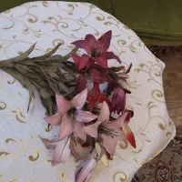 گل مصنوعی