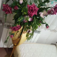 گل جام گلدان