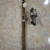 لنسر و لول ماهیگیری