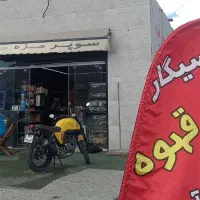 نیروی کار